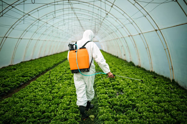 Best Pest Control Near Me in North Lynnwood, WA