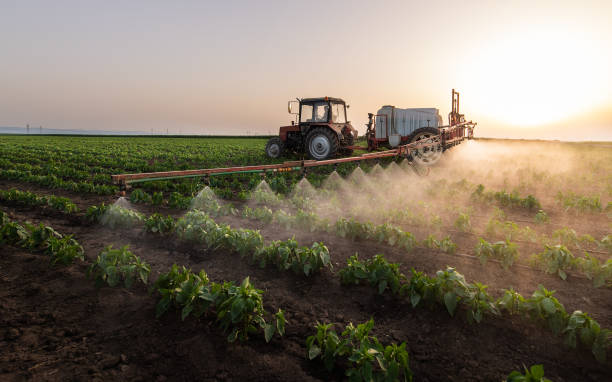 Best Mosquito Control Services  in North Lynnwood, WA