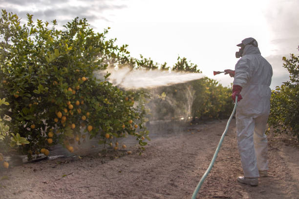  North Lynnwood, WA Pest Control Pros