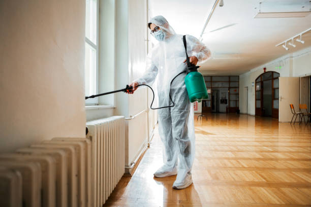 Best Termite Control Services  in North Lynnwood, WA