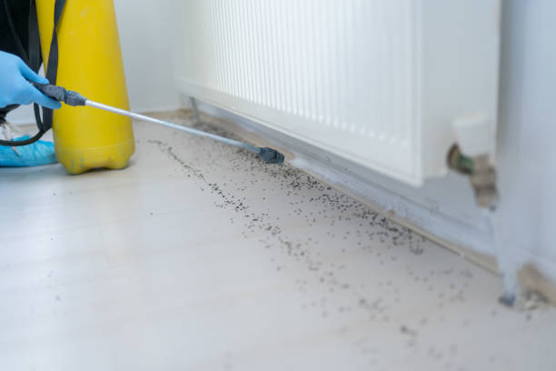 Best Pest Control Near Me  in North Lynnwood, WA