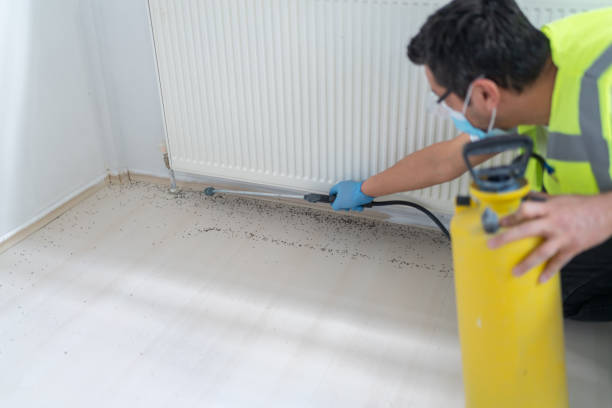 Best Best Pest Control Companies  in North Lynnwood, WA