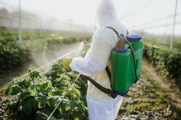 Best Pest Removal Services  in North Lynnwood, WA